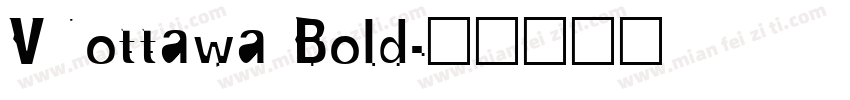 VNottawa Bold字体转换